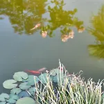 Villa Aldeia Da Quinta Do Paco -