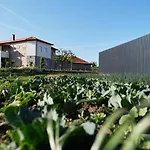 Aldeia Da Quinta Do Paco - * Santo Tirso