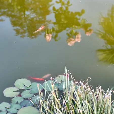 Вилла Aldeia Da Quinta Do Paco -