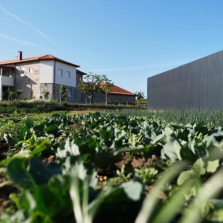 Aldeia Da Quinta Do Paco - * Santo Tirso