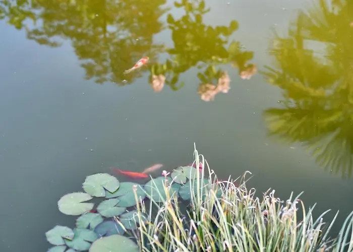 Villa Aldeia Da Quinta Do Paço - Em