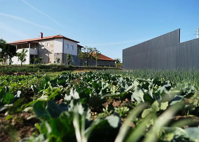 Aldeia Da Quinta Do Paço - Em * Santo Tirso